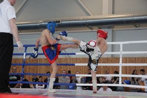 В Великих Луках прошел Кубок области по кикбоксингу (ФОТО)