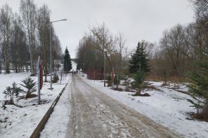 В парке Петровском появились новые объекты (ФОТО)