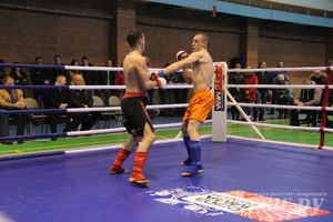 В Великих Луках прошел межрегиональный Открытый Кубок по смешанному боевому единоборству (фото)