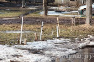 Весенний день