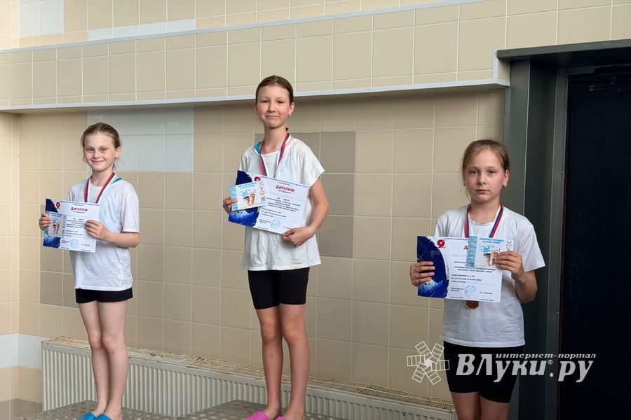 ВЛуки.ру