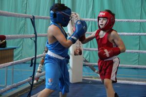 Фестиваль боевых искусств прошел в Великих Луках (ФОТО)