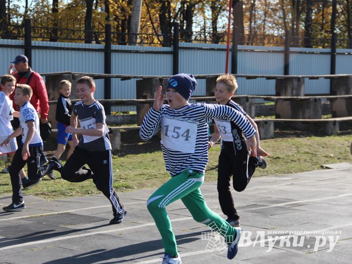 «Шиповка юных» среди великолукских школьников (фото)