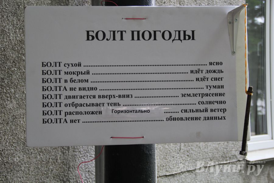 В Великих Луках открылась Международная юбилейная встреча воздухоплавателей (фото)