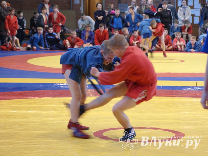 Великолучане завоевали призовые места на турнире по самбо «Память» (ФОТО)