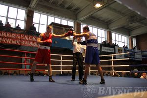 16-й Международный турнир по боксу (фото)