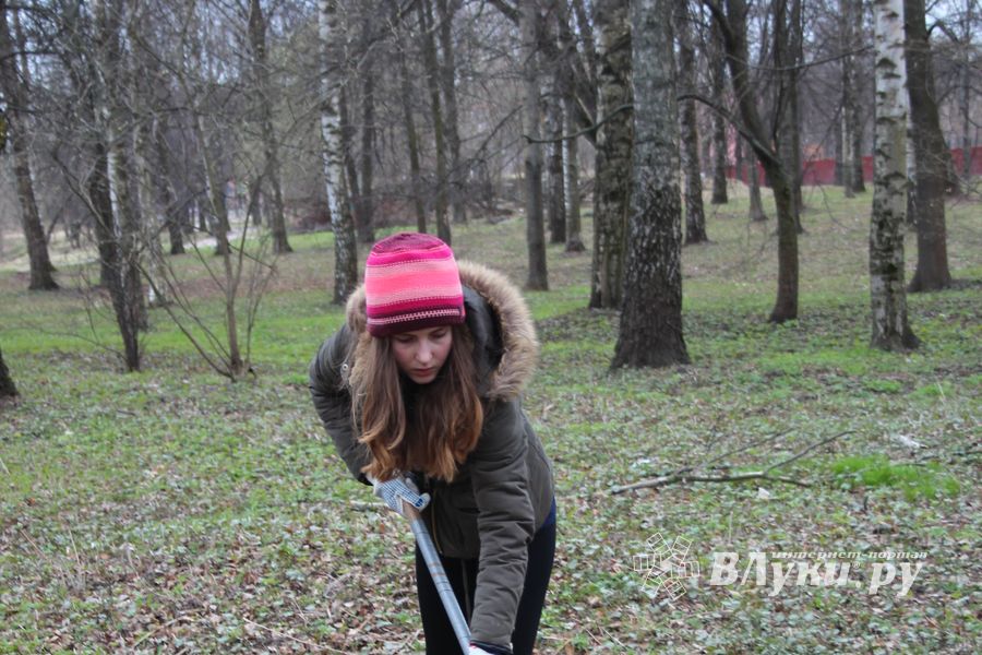 Городские СМИ провели субботник (ФОТО)