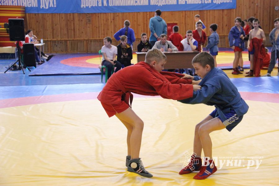 В Великих Луках проходит фестиваль (ФОТО)