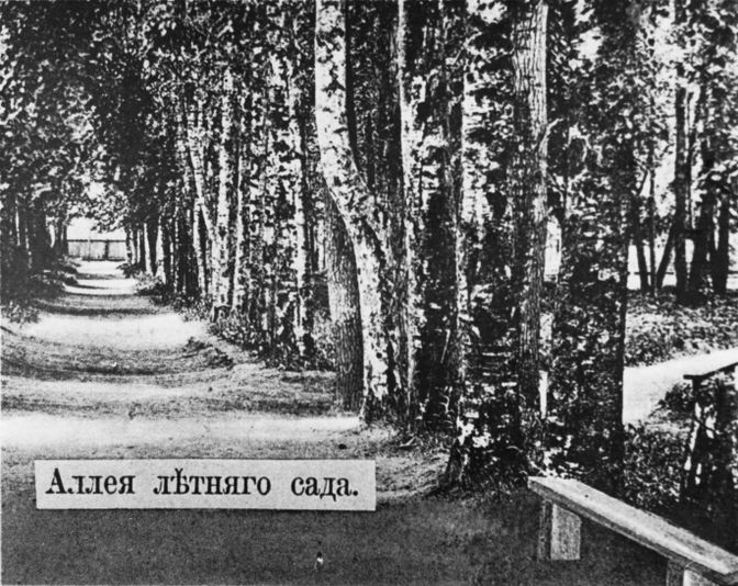 Аллея в Летнего сада