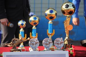 Педагогический лицей стал победителем турнира по футболу памяти М. Хренова (фото)