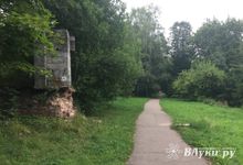 Великолучанам предлагают обходить улицу Евгения Клевцова (ФОТО)