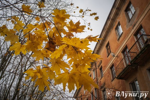 Сегодня в Великих Луках будет облачно и без осадков
