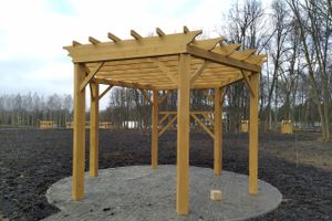 Николай Козловский рассказал о строительстве парка «Петровский»