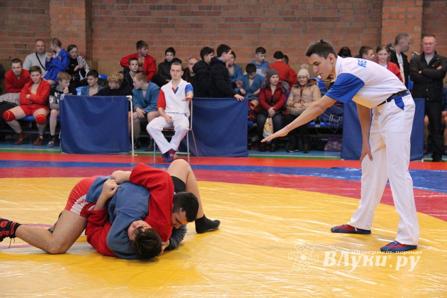 Великолукские самбисты завоевали 45 медалей на открытом первенстве города (ФОТО)