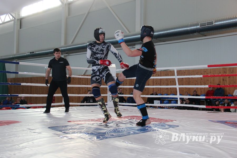 В Великих Луках проходит открытый кубок по смешанному боевому единоборству ММА (ФОТО) (12+)