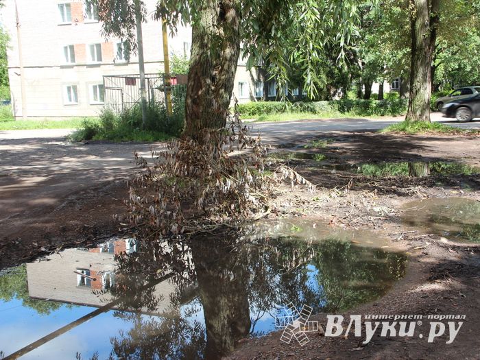 Великие Луки после дождичка в четверг (ФОТО)