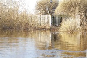В Великих Луках продолжаются поиски мужчины, пропавшего 9 марта (ФОТО)