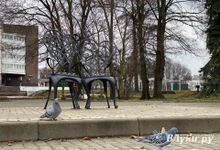 Мокрый снег накроет Псковскую область