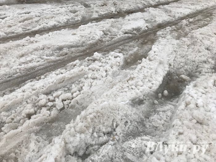 Великие Луки могут стать родиной «автофристайла» (ФОТО; ВИДЕО)