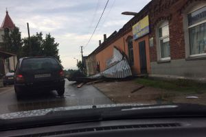 Ураган в Псковской области валил деревья и срывал крыши (ФОТО)