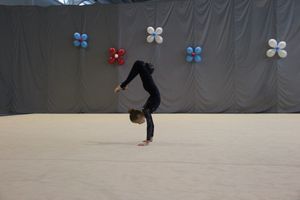 В Великих Луках прошли соревнования на Кубок Псковской области по художественной гимнастике (ФОТО)