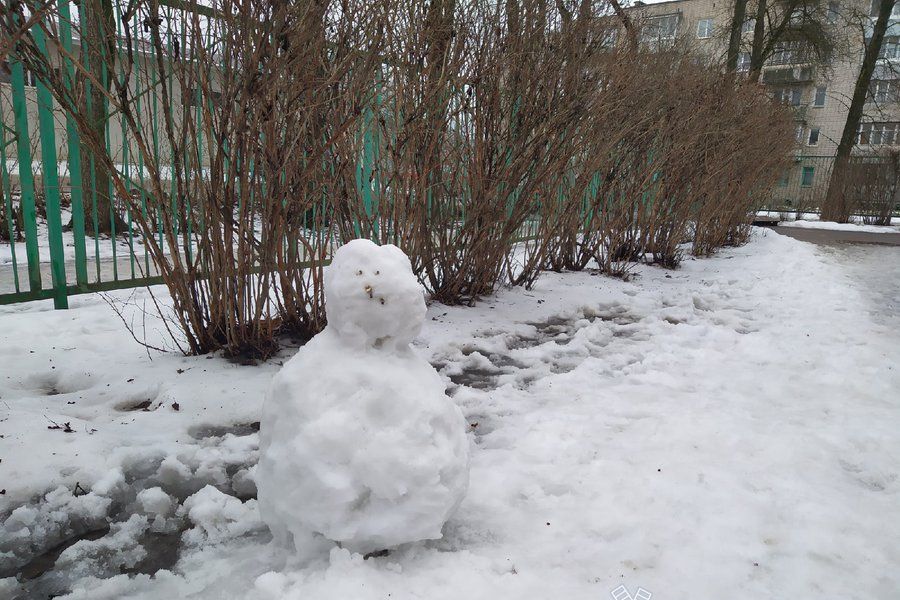 © ВЛуки.ру