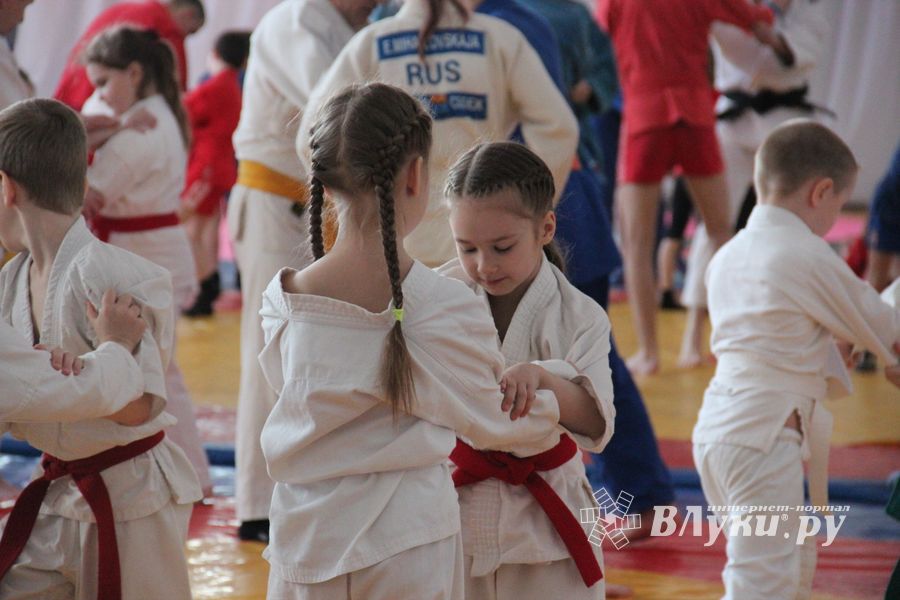 Сергей Фомин провёл мастер-классс для великолукских дзюдоистов (ФОТО)