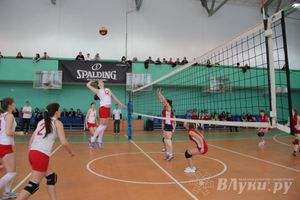 В Великих Луках прошли международные соревнования по волейболу (фото)