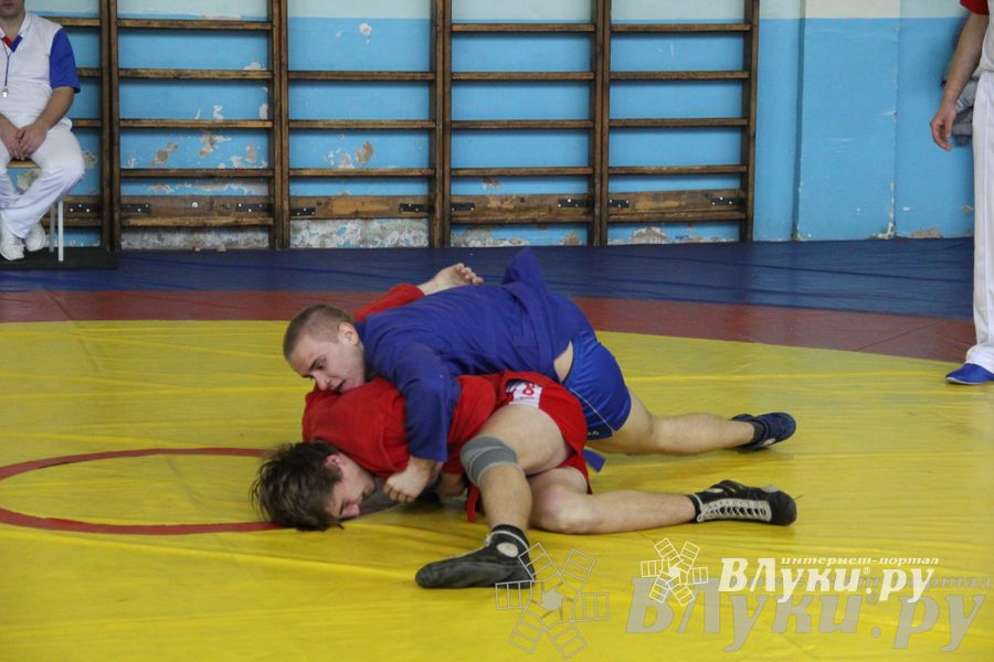 Всероссийский турнир по самбо