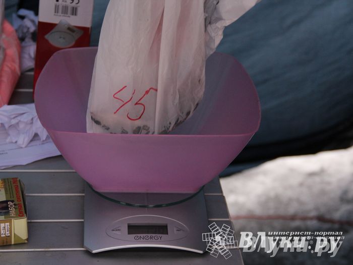 Подведены итоги Открытого чемпионата Великих Лук по рыболовному спорту (фото)