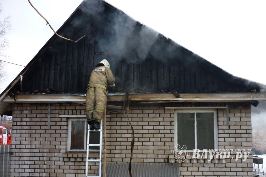 В Великих Луках сгорела хозпостройка (фото)