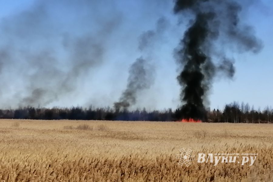 Великолукский район полыхает (ФОТО; ВИДЕО)