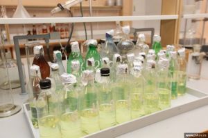 В Псковской области появился современный экспертно-криминалистический центр (фото)