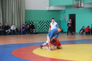 Самбисты поборолись на крупном турнире в Великих Луках (ФОТО)