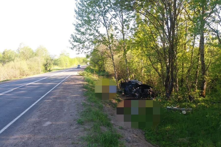 Смертельное ДТП под Великими Луками (ФОТО)