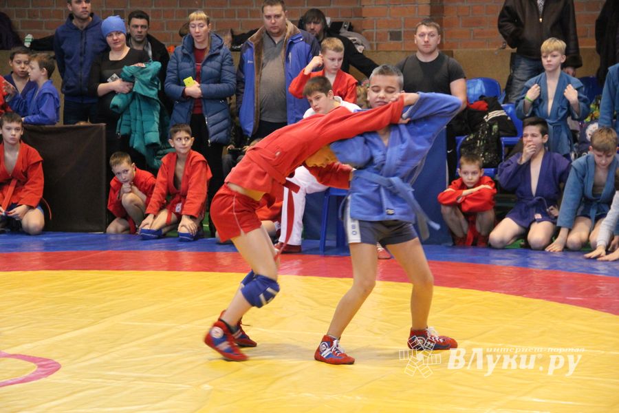 В Великих Луках проходит турнир самбистов (ФОТО)