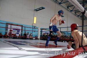 Чемпионат Псковской области по ММА