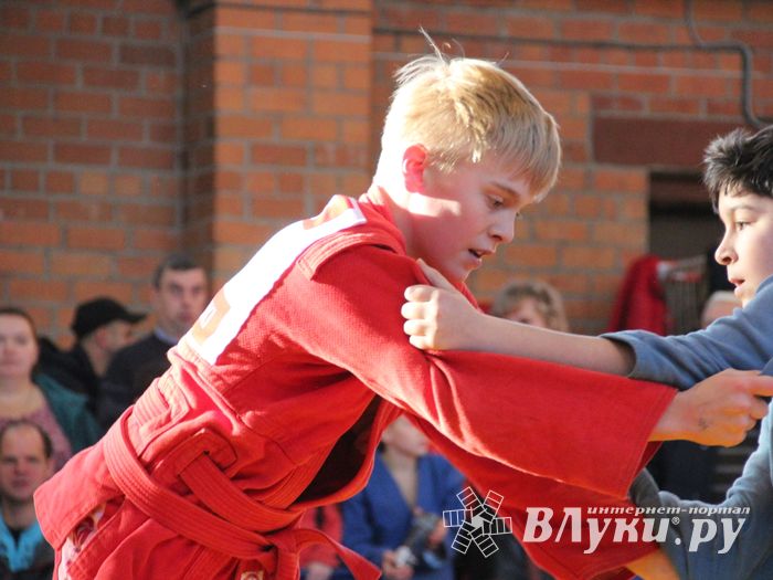 Великолучане завоевали награды турнира по самбо «Память» (ФОТО)