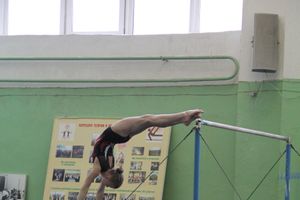 В Великих Луках прошло Первенство Области по спортивной гимнастики (фото)