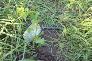 Массовое ДТП в Великих Луках (ФОТО)