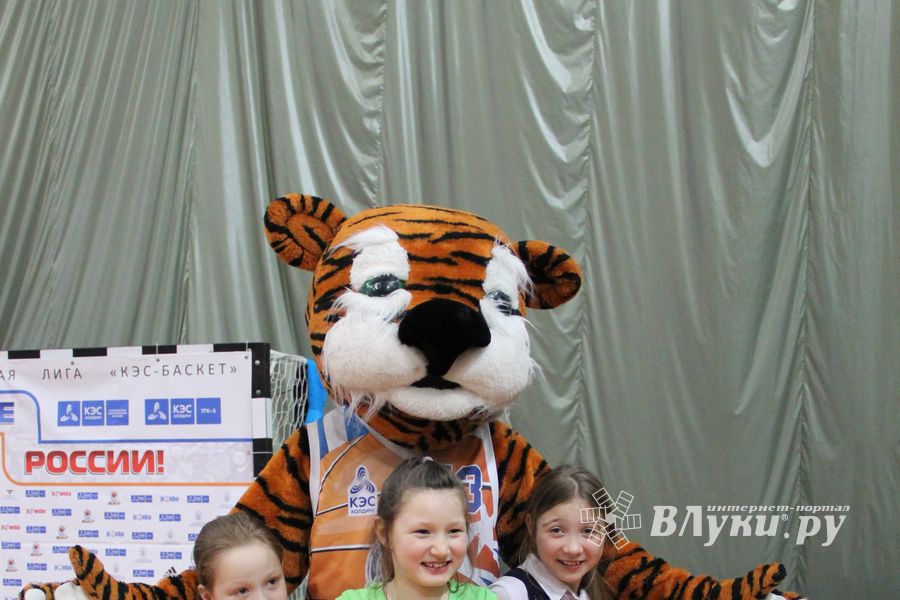 Чемпионат ШБЛ «КЭС-БАСКЕТ» сезона 2013-2014 гг. Псковской области