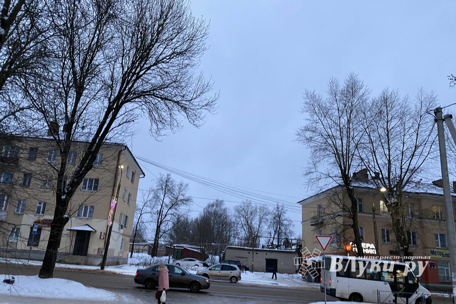 Великолукским коммунальщикам выразили «огромную благодарность» (ФОТО)