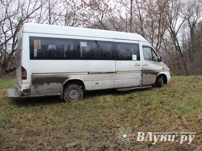 На улице Пушкина водитель врезался в дерево (ФОТО)
