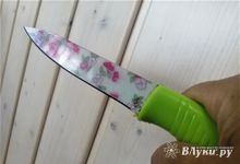 «Ты старая, ты ему не нужна, а я нужна»: ссора великолучанок закончилась убийством