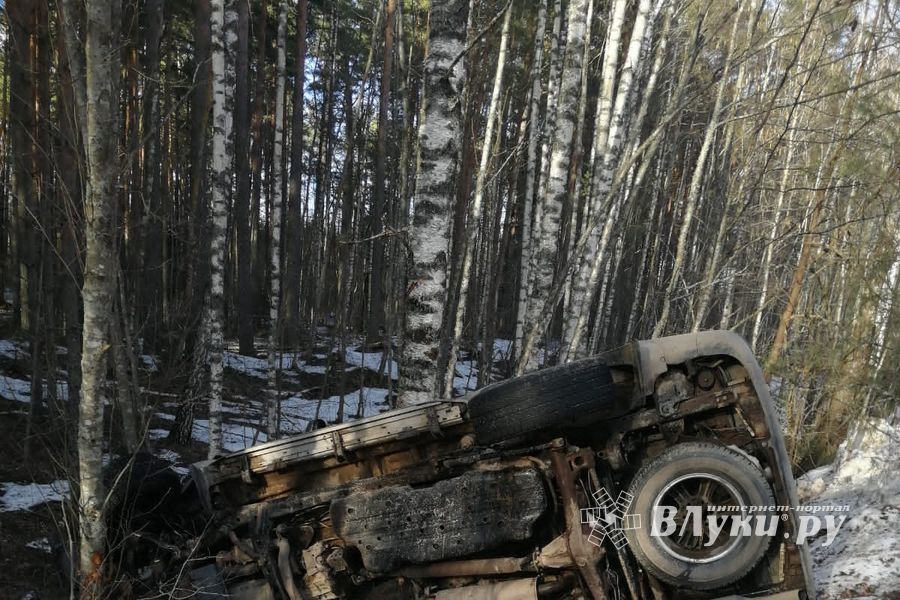 В Великолукском районе произошло смертельное ДТП (ФОТО)