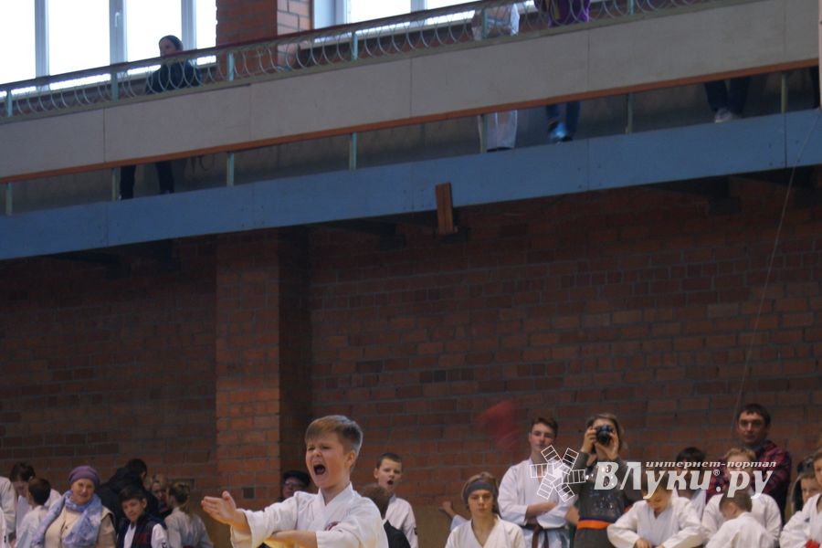 В Великих Луках прошли соревнования по каратэ (ФОТО)