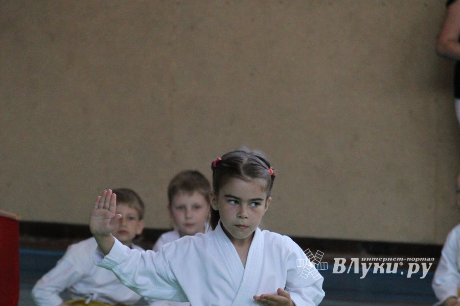 Турнир по каратэ