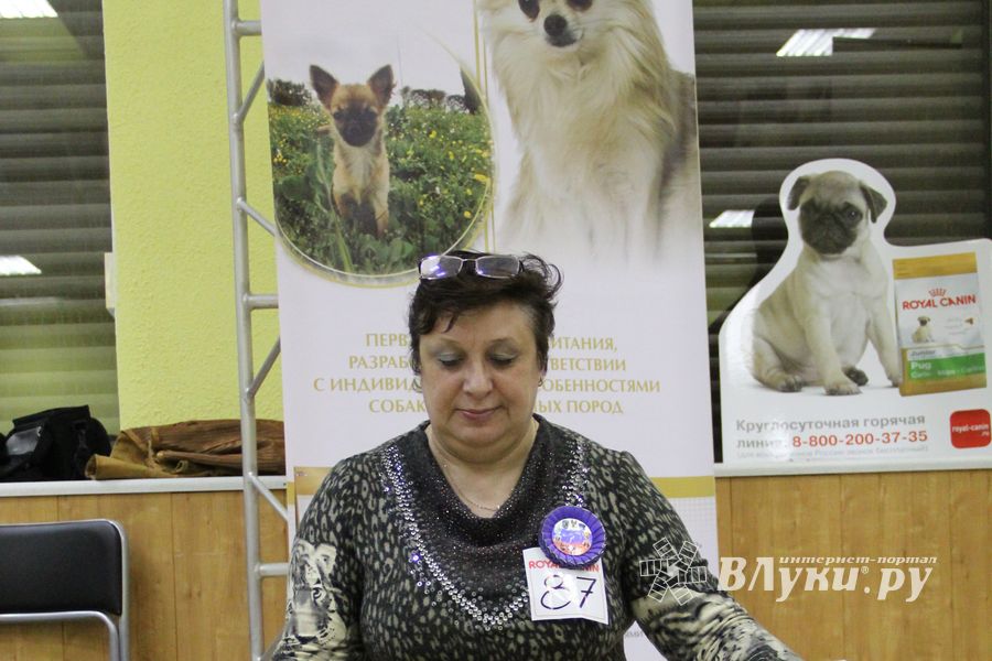 Всероссийская выставка собак «Великие Луки — 2014»