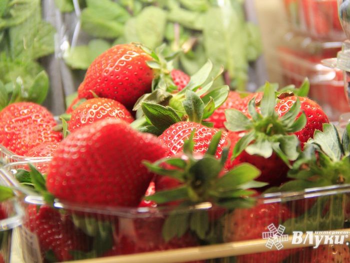 Такой рыбы нигде больше нет (ФОТО)