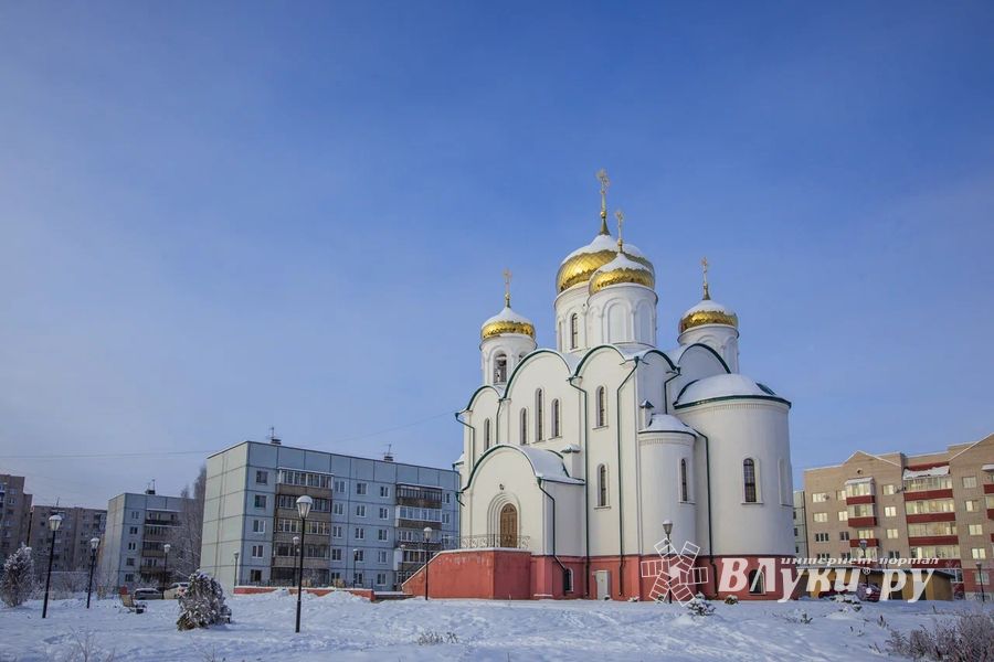 С Рождеством Христовым поздравляем читателей ВЛуки.ру!